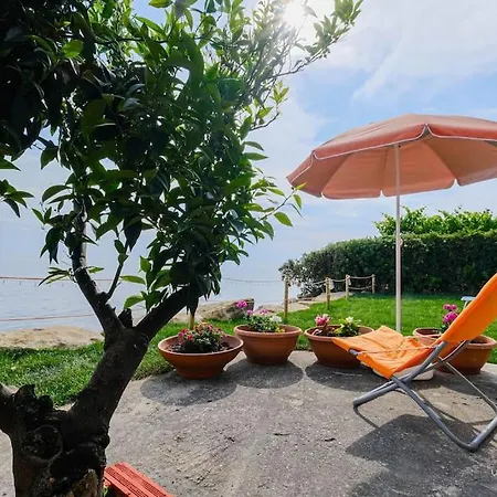 Sea The Day Beachfront 3-bdrm House, * نيا سكيوني